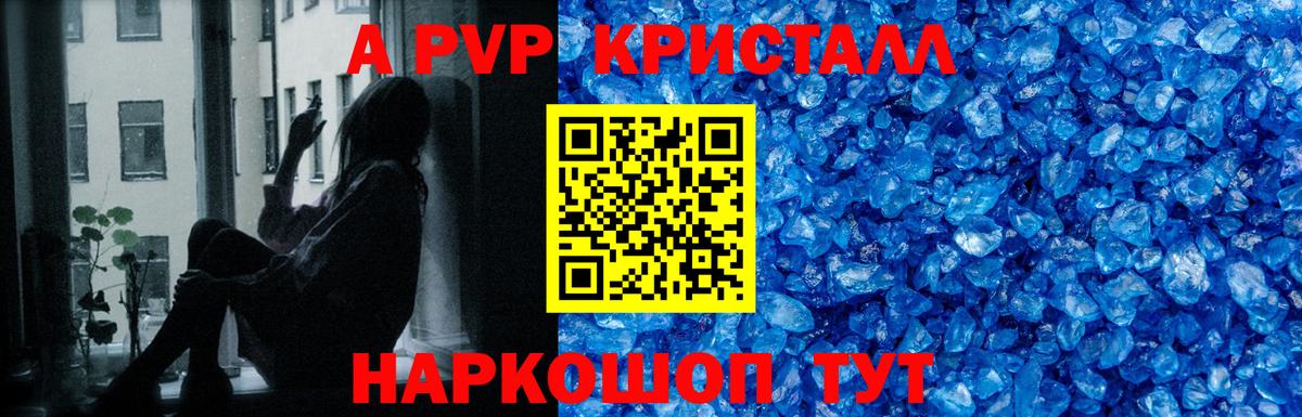 Альфа ПВП СК Архангельск
