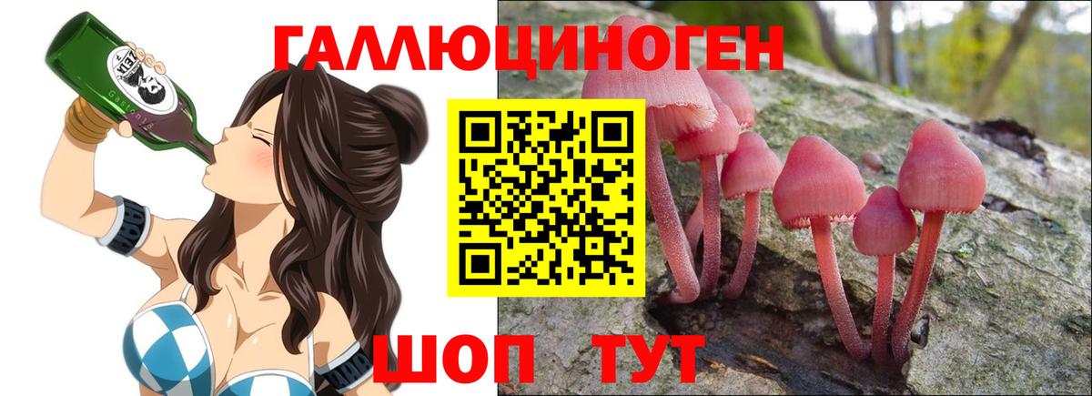 Галлюциногенные грибы Psilocybe Архангельск