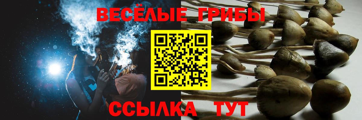 Галлюциногенные грибы MAGIC MUSHROOMS  Псилоцибиновые грибы Psilocybe  цены наркотик  Вход с VPN  Архангельск 
